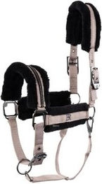 BR Fellhalfter Dante – Bild 1 von 2