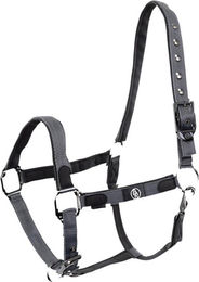 BR Halfter Dayla – Bild 1 von 2