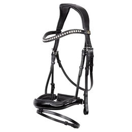 BR Trensenzaum Bolton – Bild 1 von 2