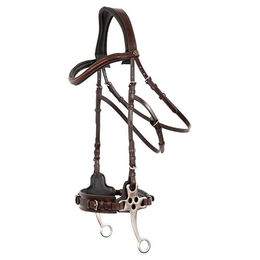 Produktbild von BR Trensenzaum Lydney