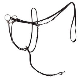 BR Zügel Thiedeman Lancaster Full Size – Bild 1 von 2