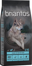 Produktbild von Briantos Adult Lachs Getreidefrei - 2 x 12 kg