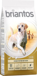 Produktbild von Briantos Adult Maxi Trockenfutter - 2 x 14 kg