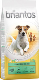 Produktbild von Briantos Adult Mini Lamm & Reis - 2 x 14 kg