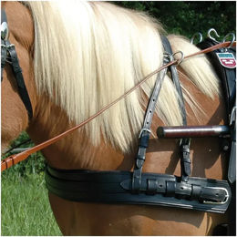 Produktbild von Bricole-Kupplungsgeschirr mit Übergangsgurt Chetak Euro