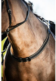 Produktbild von Bricole Reiten elastisch einfach HFI