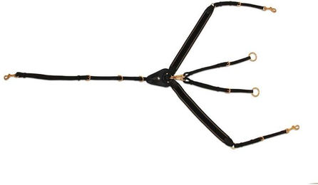 Produktbild von Bricole Reiten Prestige HFI