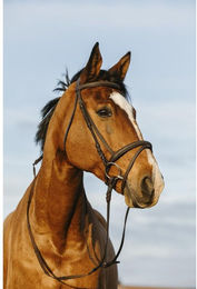 Produktbild von Bridon équitation muserolle combinée Riding World