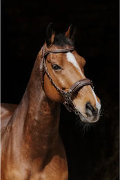 Produktbild von Bridon équitation Norton Pro Hackamore