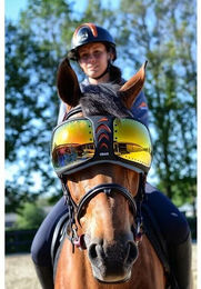 Produktbild von Brille Pferd eQuick eVysor
