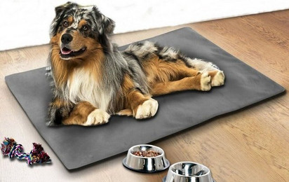 Produktbild von Brilliant Hundematte Thermo Hundekissen