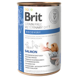 Produktbild von BRIT Veterinary Diet Recovery Lachs Nassfutter für Hunde und Katzen - 400 g