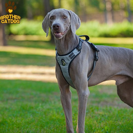 Produktbild von Brother Cat and Dog Gepolstertes Hundegeschirr grau/schwarz
