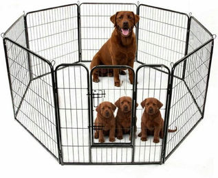 BruKa Freigehege Welpenauslauf Freigehege Young Dogs Tierlaufstall Welpenzaun 80cm – Bild 1 von 5