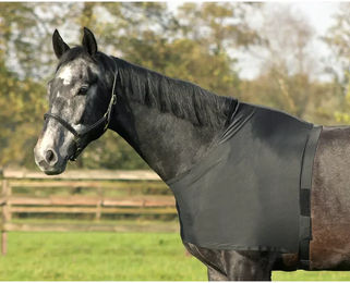 Produktbild von Brust- und Schulterschutz aus Elasthan Q-essentials