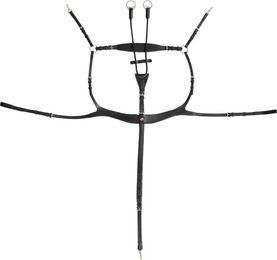 Brustplatte Kieffer Palmanova – Bild 1 von 2