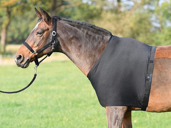 Produktbild von Brustschutz BU Skinguard II