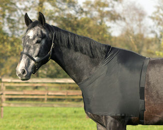 Produktbild von Brustschutz QHP Elastisch