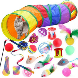Produktbild von BTTO Tier-Intelligenzspielzeug 21-teiliges Katzenspielzeug-Set