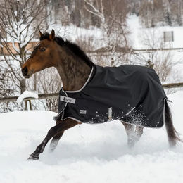 Bucas Anniversary Turnout Light Stay-Dry - 145 cm – Bild 1 von 9