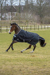 Bucas Anniversary Turnout Medium SD 150g Black/Silver - 150 g – Bild 1 von 3