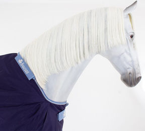 Produktbild von Bucas Atlantic Exclusive & Neck 0g