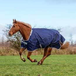 Produktbild von Bucas Atlantic Turnout 400g