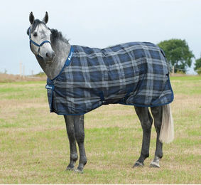 Produktbild von Bucas Celtic Stable light 0g - tartan/grey