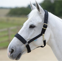 Produktbild von Bucas Comfort Halfter