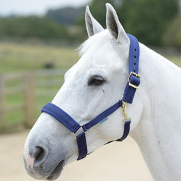 Produktbild von Bucas Comfort Halfter