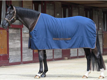 Produktbild von Bucas Cool Sheet Linen Abschwitzdecke