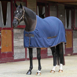 Produktbild von Bucas Cool Sheet Linen Abschwitzdecke