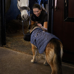 Produktbild von Bucas Cosy Dog Rug - Hundemantel