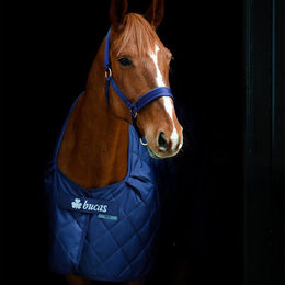 Produktbild von Bucas Cosy Stable 0g