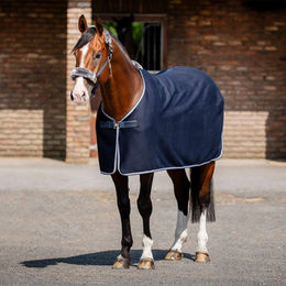 Produktbild von Bucas Emerald Wool Rug