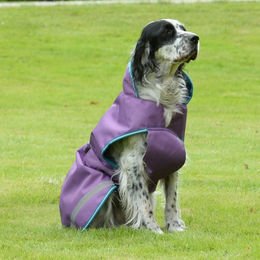 Produktbild von Bucas Freedom Dog Rug 50g