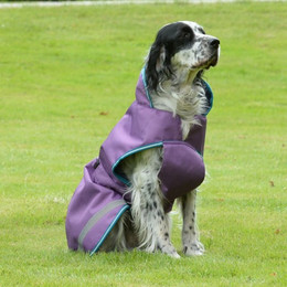 Produktbild von Bucas Freedom Dog Rug 50g