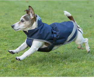 Produktbild von Bucas Freedom Hundedecke 300g Navy/Silver - 300 g