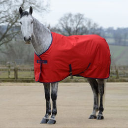 Produktbild von Bucas Freedom Stable 300g