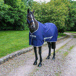 Produktbild von Bucas Freedom Stable Rug – Hochwertige Stalldecke für Pferde mit 300g Thermofüllung