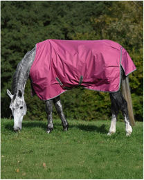 Produktbild von Bucas Freedom Turnout 150g