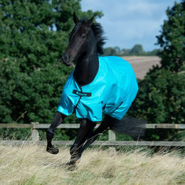 Produktbild von Bucas Freedom Turnout Light 0g