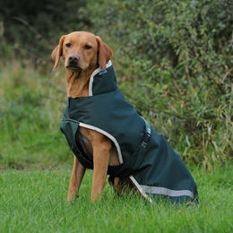 Produktbild von Bucas Greenline Dog Rug 50g