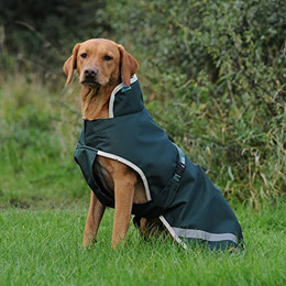 Produktbild von Bucas Greenline Hundedecke - 50 g