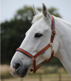 Produktbild von Bucas Halfter Dublin