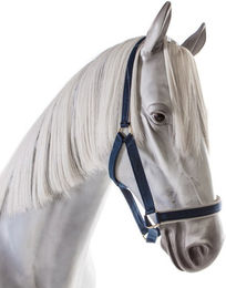 Bucas Halfter Dublin Navy/Silver – Bild 1 von 4