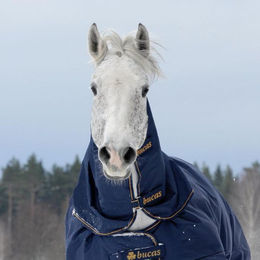 Produktbild von Bucas Irish Turnout Combi Neck 300g - navy/gold - Halsteil