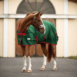 Produktbild von Bucas Irish Turnout Light by HorSeven