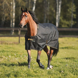 Produktbild von Bucas Irish Turnout Pferdedecke 100g Füllung