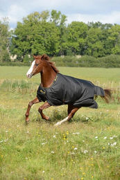 Bucas Irish Turnout Pferdedecke Light 50g – Bild 1 von 7